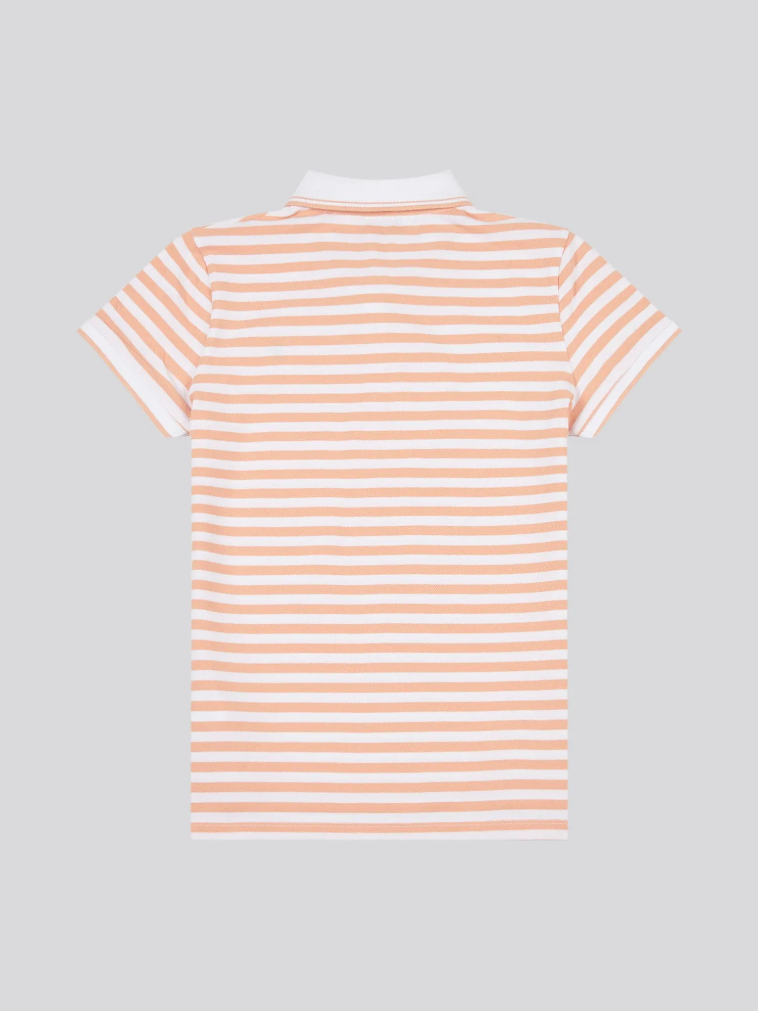 Womens Stripe Polo Shirt in Peach Nectar